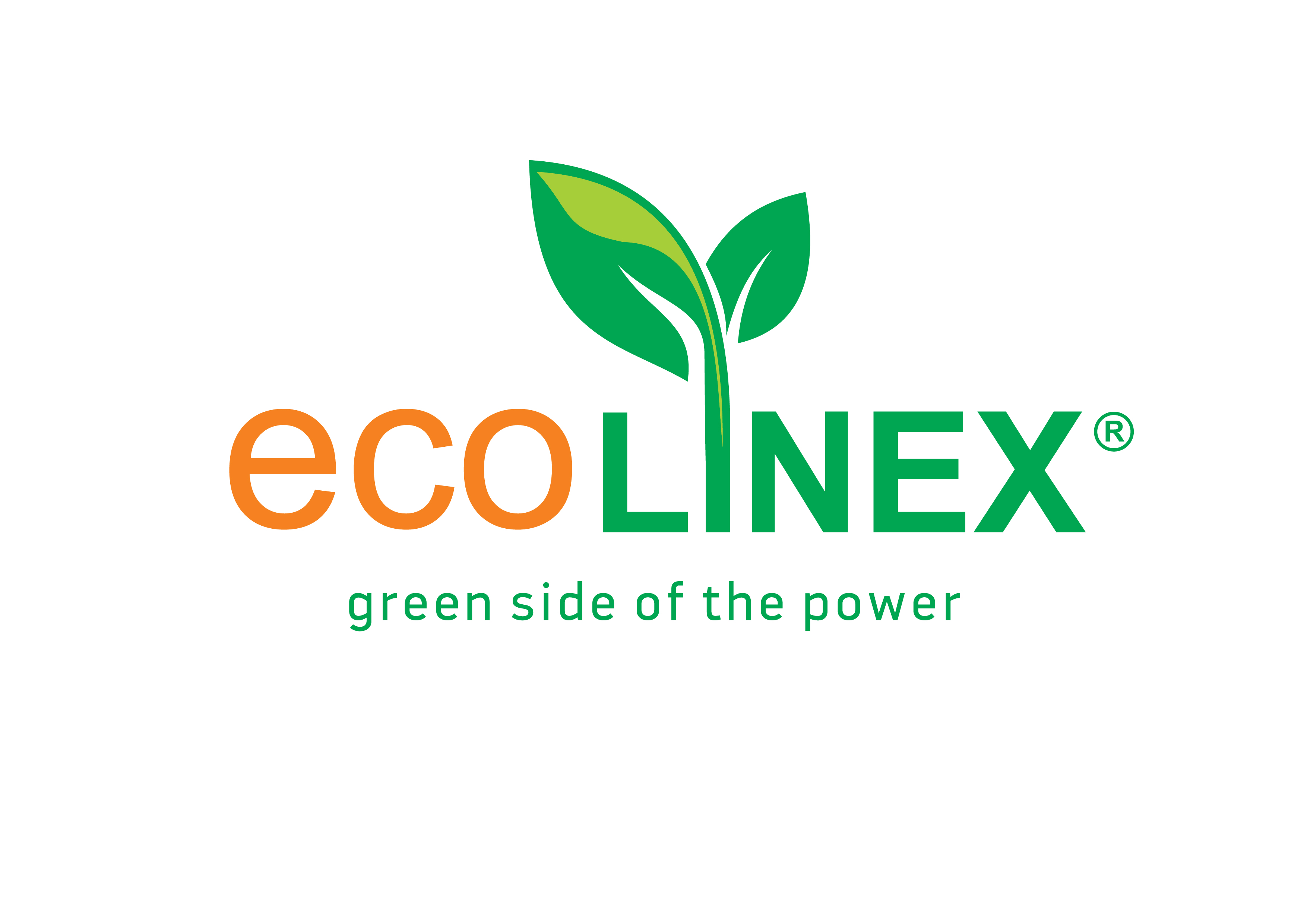 Logo Ecolinex / AMR GROUP MIZIA EINHORN SP.K