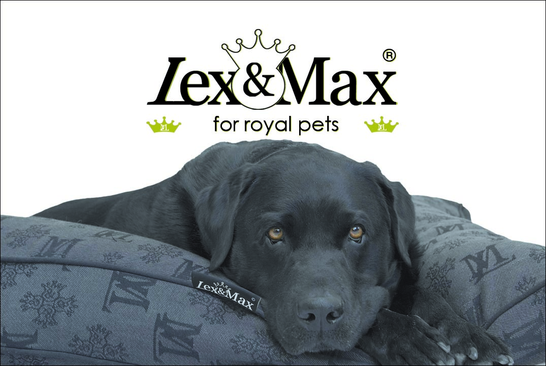 Logo Lex en Max B.V.