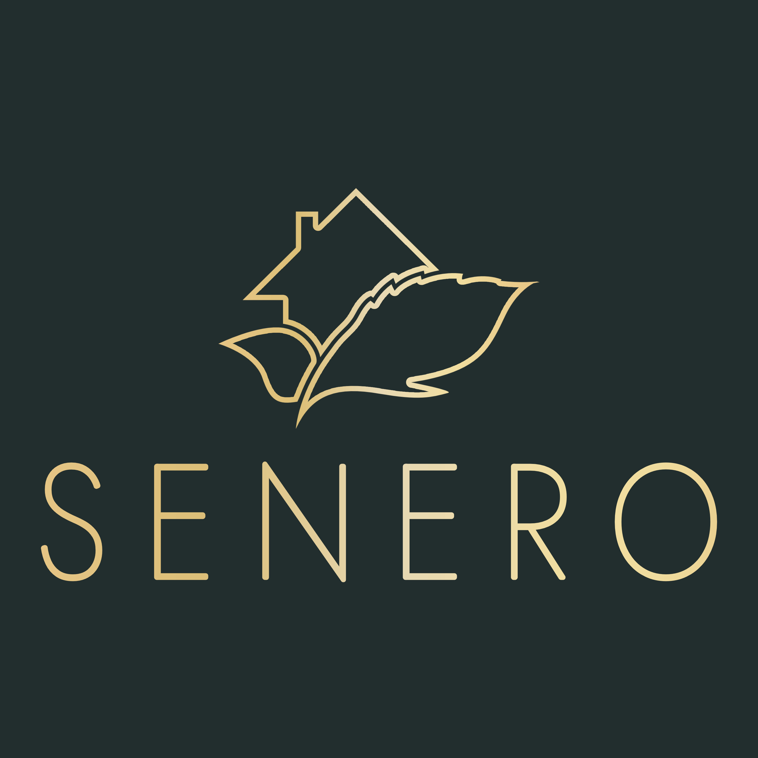 Logo Senero-Deko