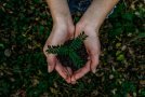 nachhaltige produkte blog