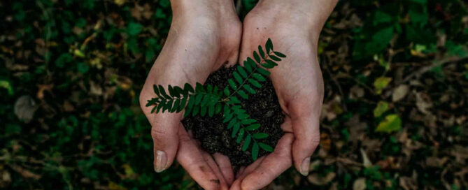 nachhaltige produkte blog