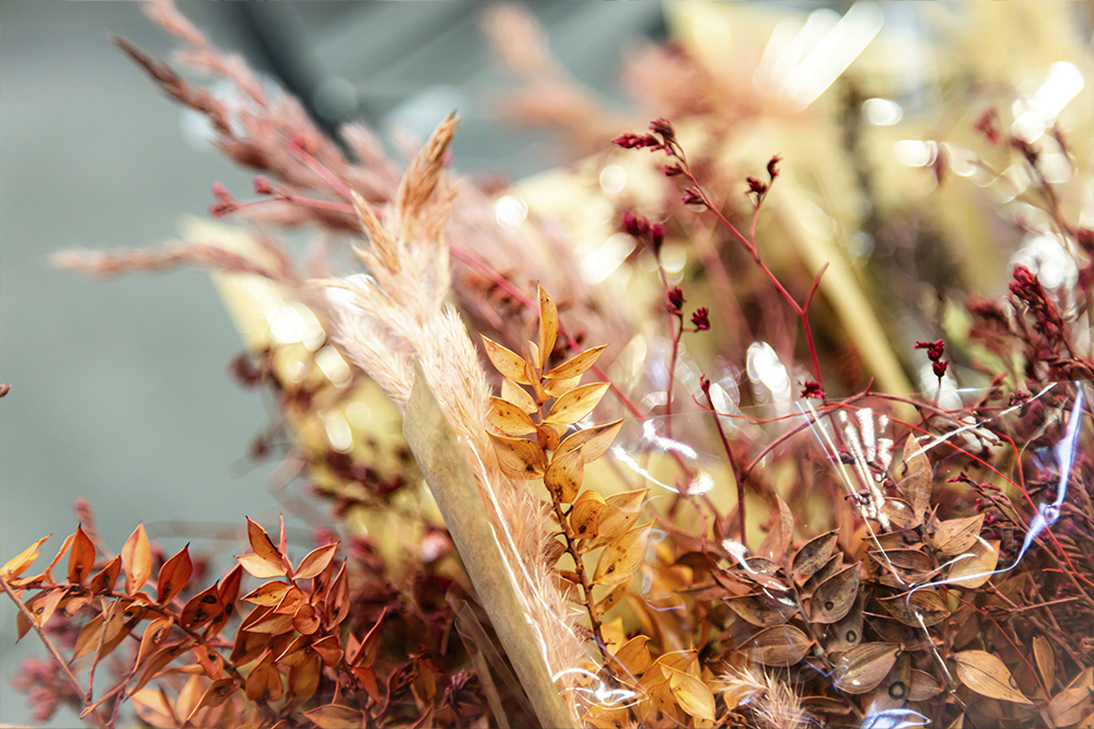 IAW Messe Fruehjahr24 31